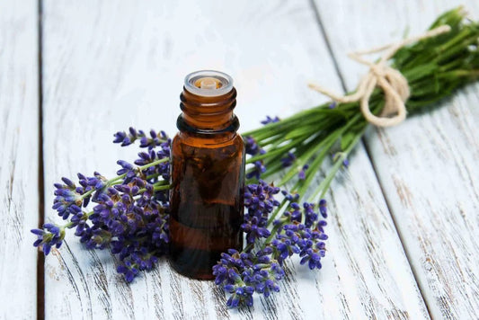 Lavender Essential Oils